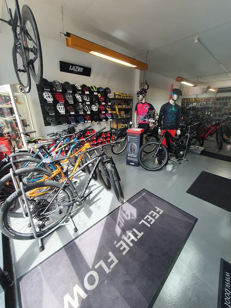 Intérieur de l'atelier ProBike Yverdon — vélos, casques et équipement