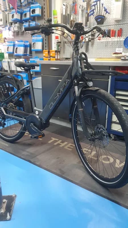 Olympia Magnum E-Bike VTC — 1