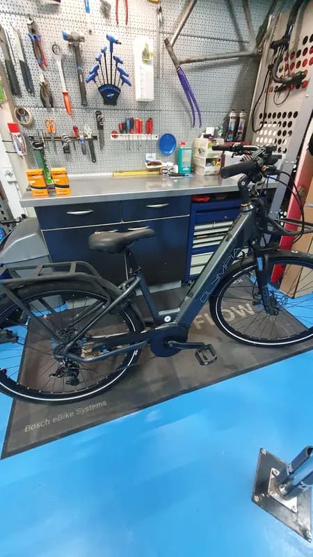 Olympia Magnum E-Bike VTC — 2